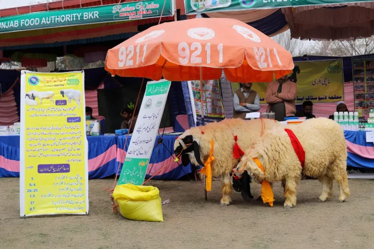 Roshan Watan Kisan Mela 2024, Bhakkar, photo 10 of 10